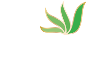 Aloe Mystery